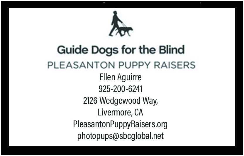 Pleasanton Puppy Raisers Contact Information