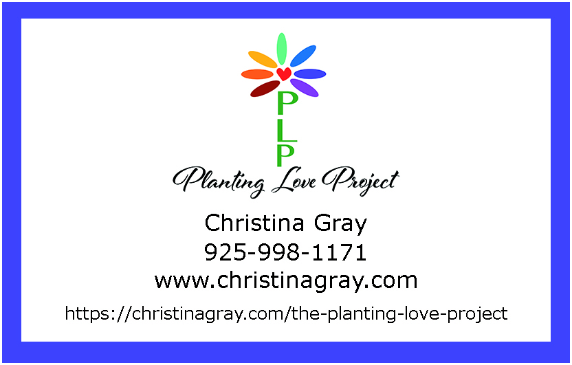 Planting Love Project Contact Info for MAD4P Festival Website