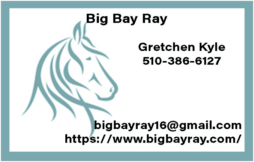Big Bay Ray contact info for MAD4P Festival website