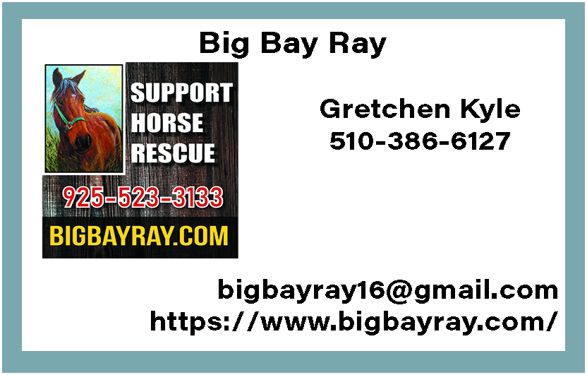 Big Bay Ray Contact Info