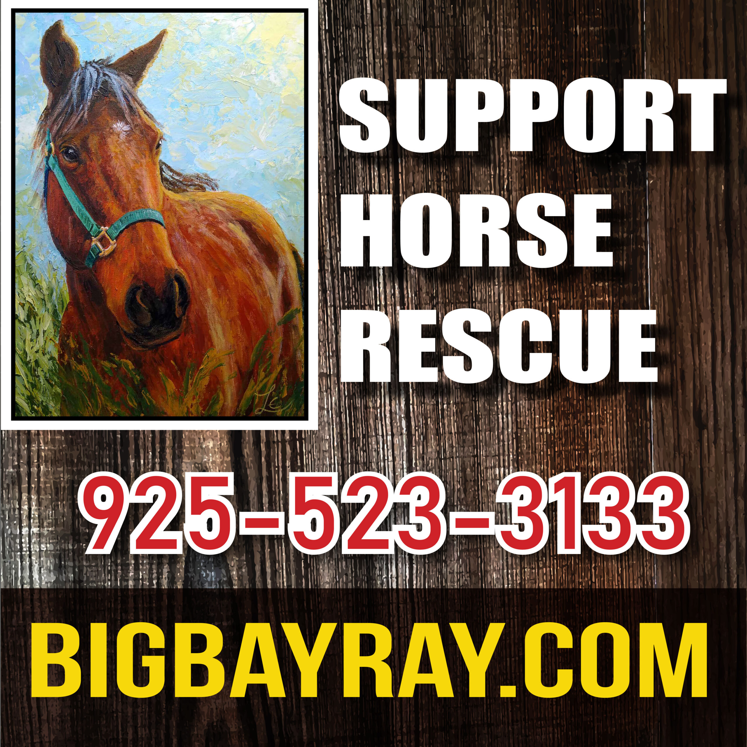 Big Bay Ray Logo and contact info